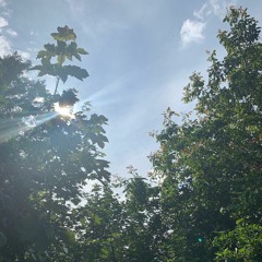 Holly Herndon - Frontier (Morten HD edit)