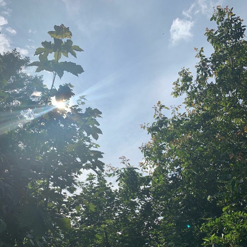 Holly Herndon - Frontier (Morten HD edit)