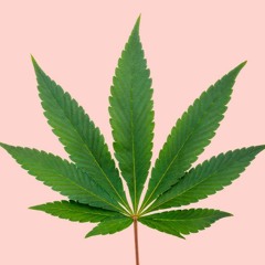 Indica (Ft. Chubz, D-Jefe)
