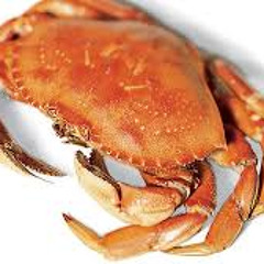 Crab Rave (J0K3R Remix)