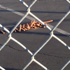 Astrapia Colab [MFT] - 9:22:19, 2.27