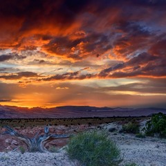 Cobra - Hip-Hop/Trap Beat (Prod. Cody_beats)