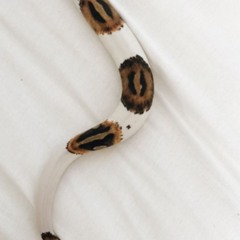 7dAy CnsCav feat UgurcanKizilaltun