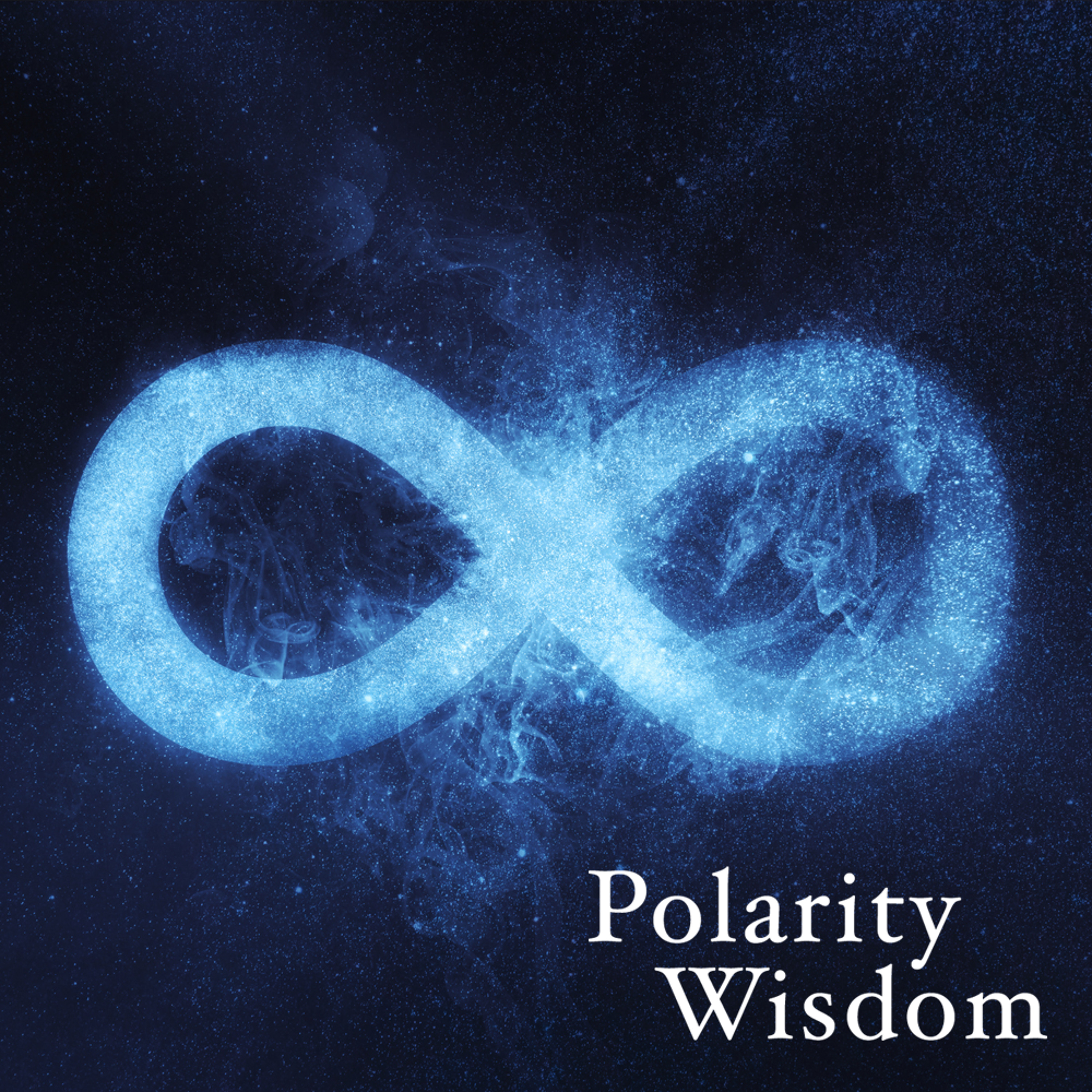 cover of episode Polarity Wisdom: The Mechanics of Integral Thinking (Beena Sharma and Corey deVos)