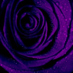 HoodieJay Not Hard - (Prod. Palaze x Ran x Stan)