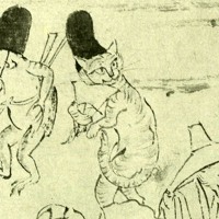 天7