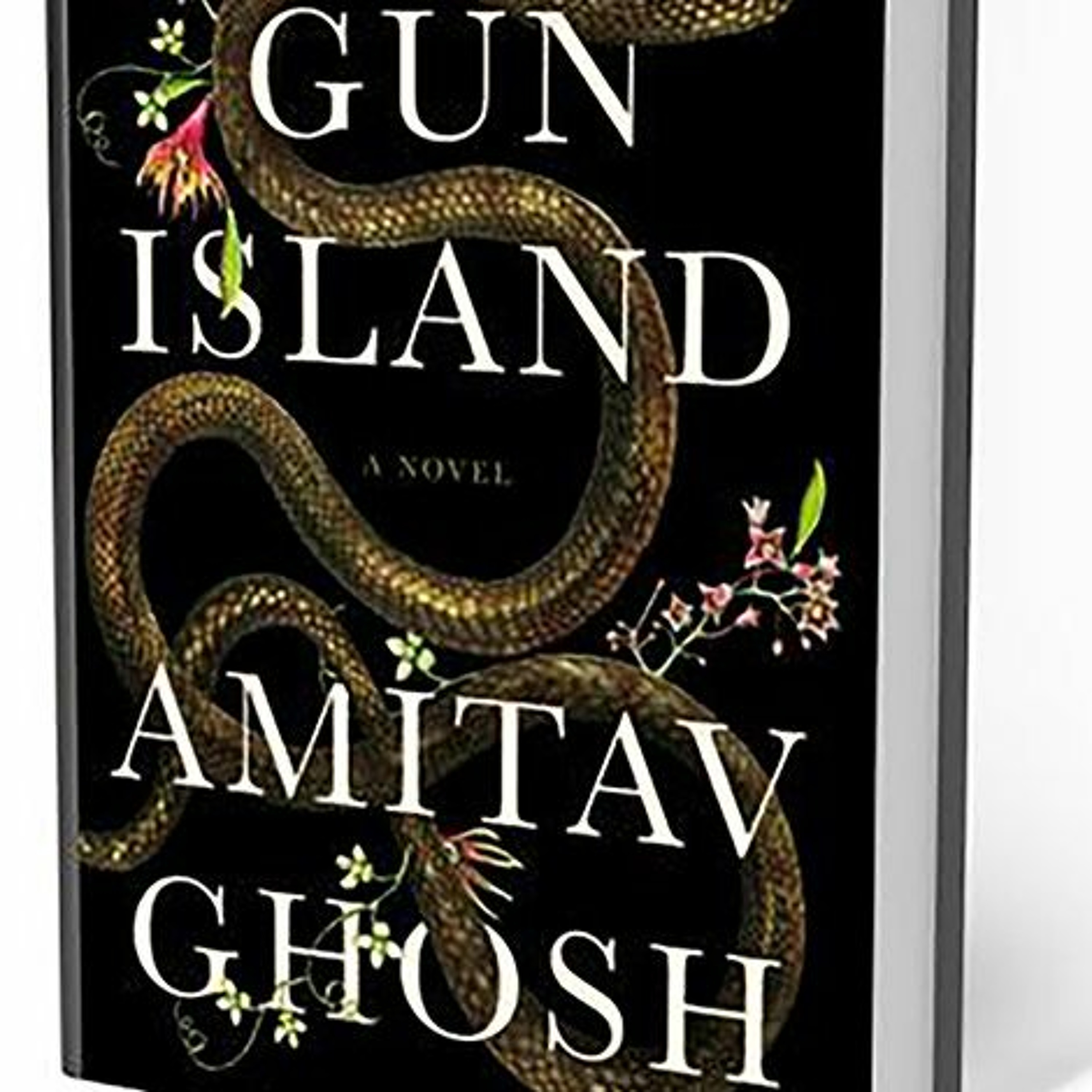 South Asian Films and Books
