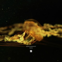 spclnch podcast #21 / Verzila