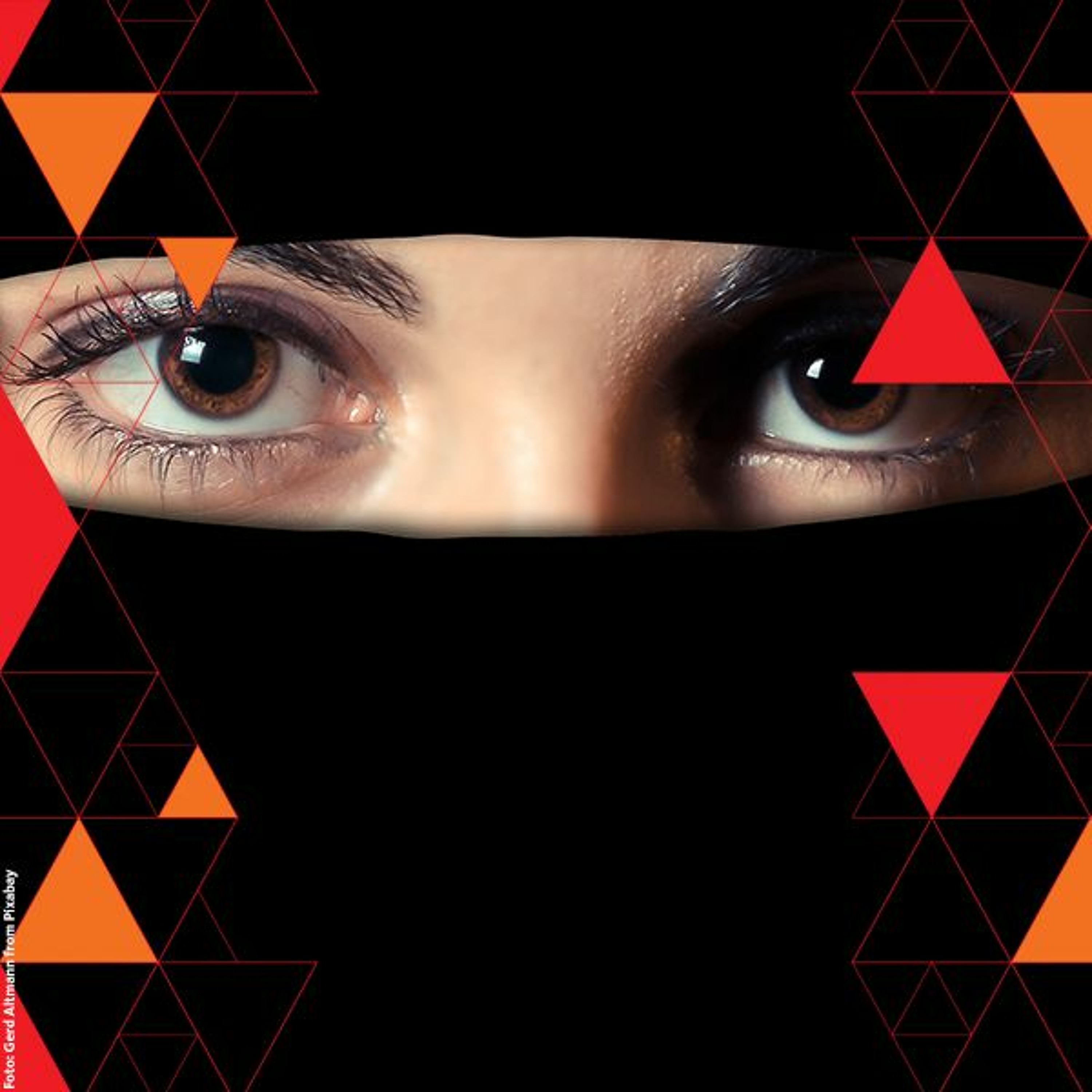 Radboud Reflects, verdiepende lezingen