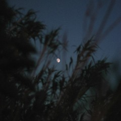 The moon represents my heart (Violin & piano)