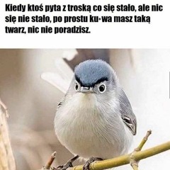 PACZKA BITÓW VBS 2019 KOŃCÓWKA ROKU