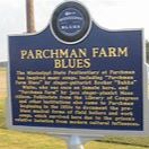 Stream Parchman Farm Blues by The Rock 'N' Roll Monsters Listen