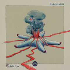 PREMIERE: Zigan Aldi - Rebels [Kamai Music]
