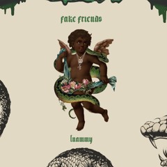 Fake Friends - tnammy