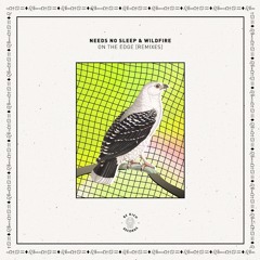 Needs no sleep & Wildfire On The Edge (Andy Murphy Remix)