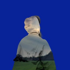 Rozi Plain - Conditions (Hiro Ama Remix)