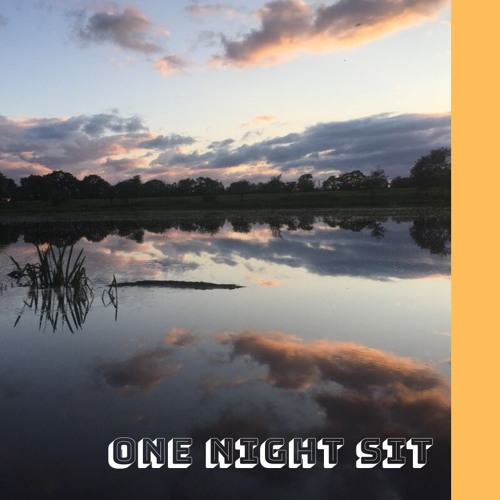 One Night Sit (demo)