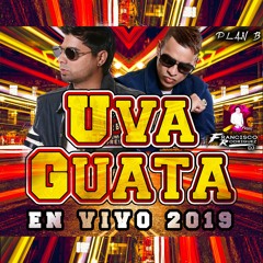 Uva Guata Guatauba ( En Vivo 2019 ) ✘ Plan B - Triple XXX - Francisco Rodrigue Dj ✘ FREE DOWNLOAD