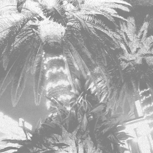 Lexo - december
