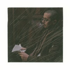 I Fell Into The Mirror