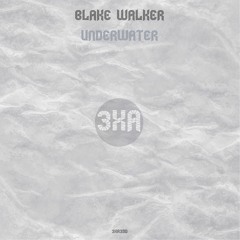 Blake Walker - Spacial (Original Mix)[3XA]