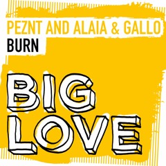 PEZNT and Alaia & Gallo - Burn