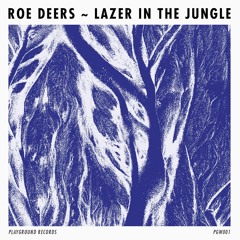 PRÉMIÈRE: Roe Deers - "Tensions" (Original Mix) [Playground Records]