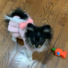 Mackned ft lil peep and coldhart - black Jeep demo