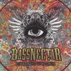 Bassnectar Electric Forest 2011
