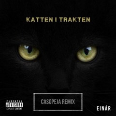 Katten I Trakten (Casopeja Remix)