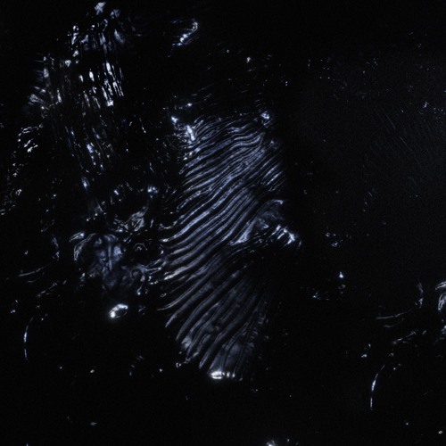 Premiere: Grasps - Dragged