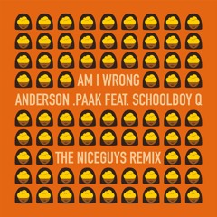 Anderson .Paak - Am I Wrong (The Niceguys Remix)
