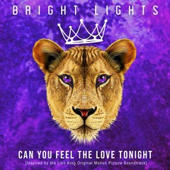 Can You Feel The Love Tonight (RhythmDB Remix)