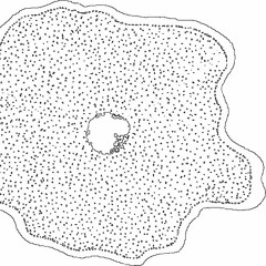 Amoeba II for Trio (2017, excerpt)