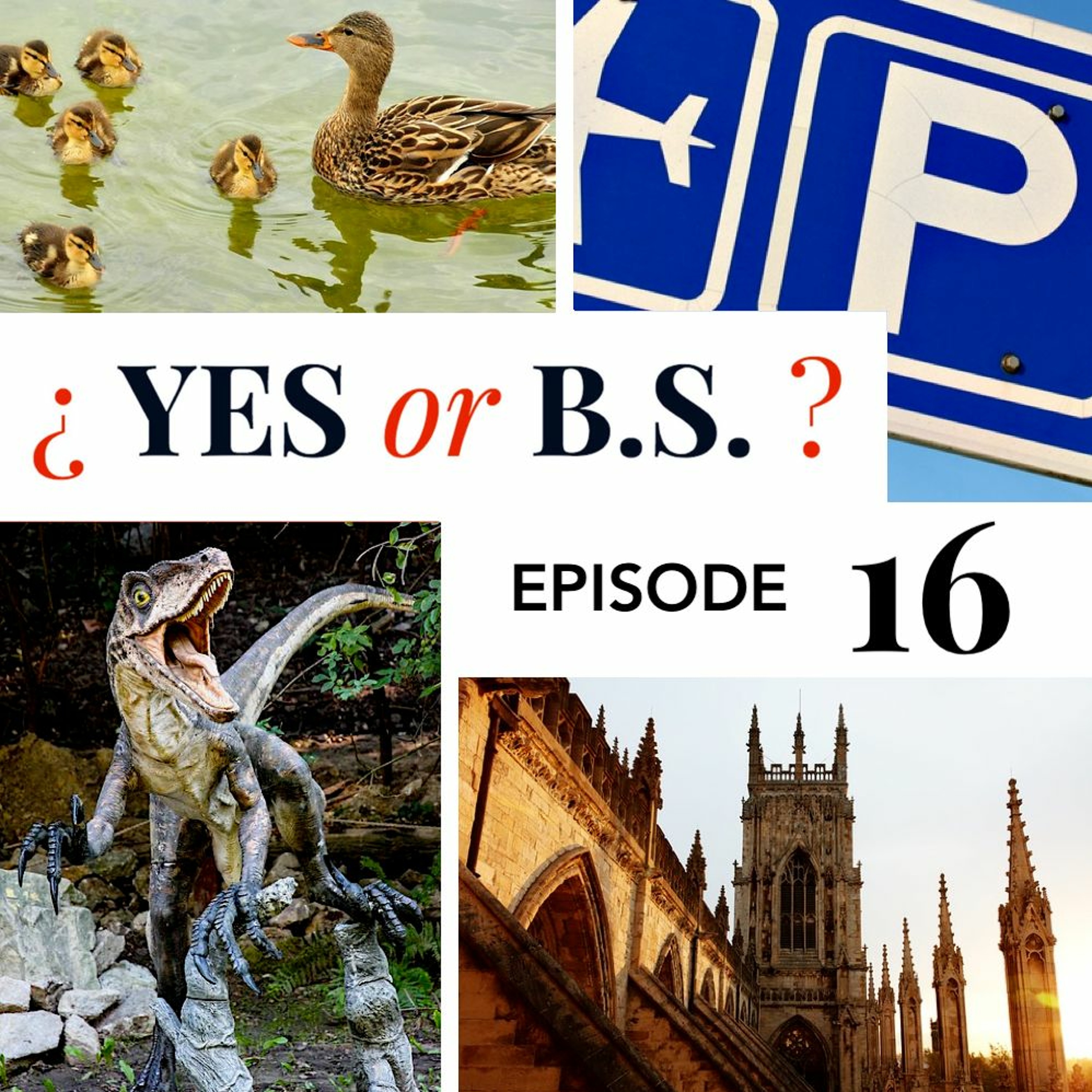 Episode 16: Was the parking sign invented for the 1928 Olympics?