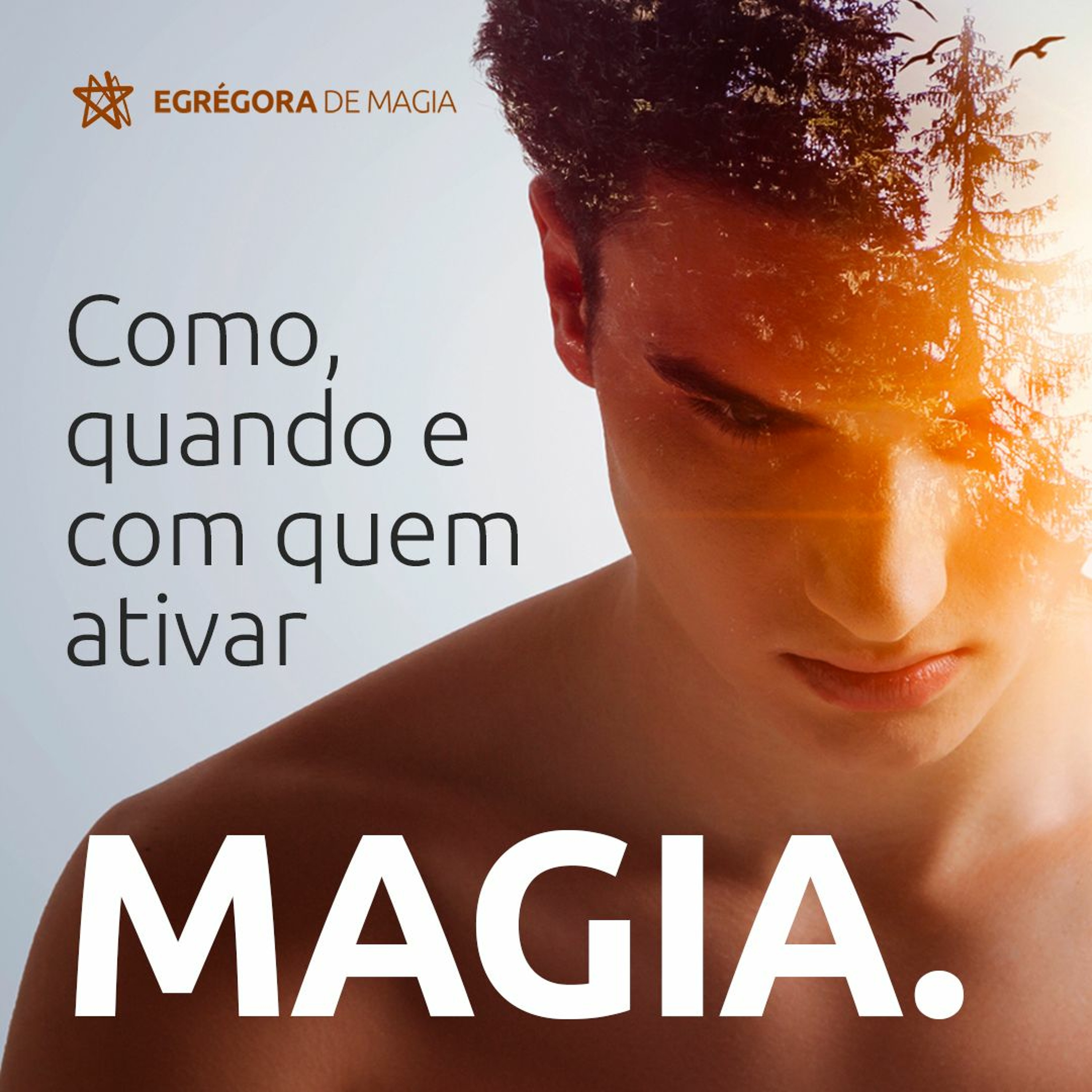 Escola De Magia
