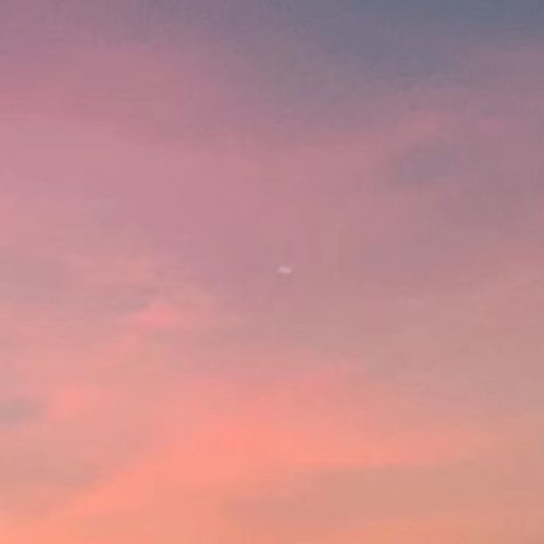 Everyone's story