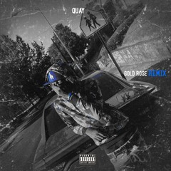 Gold Roses (Remix) [Prod. by 808SUMMER]