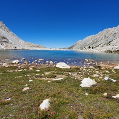 TBFS-09-19
