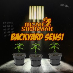 Micah Shemaiah BackYard Sensi