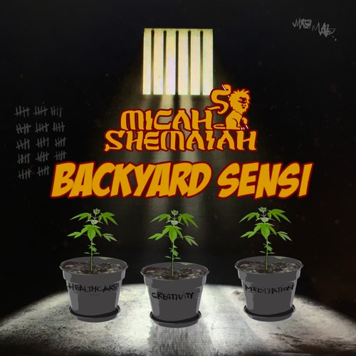 Micah Shemaiah BackYard Sensi