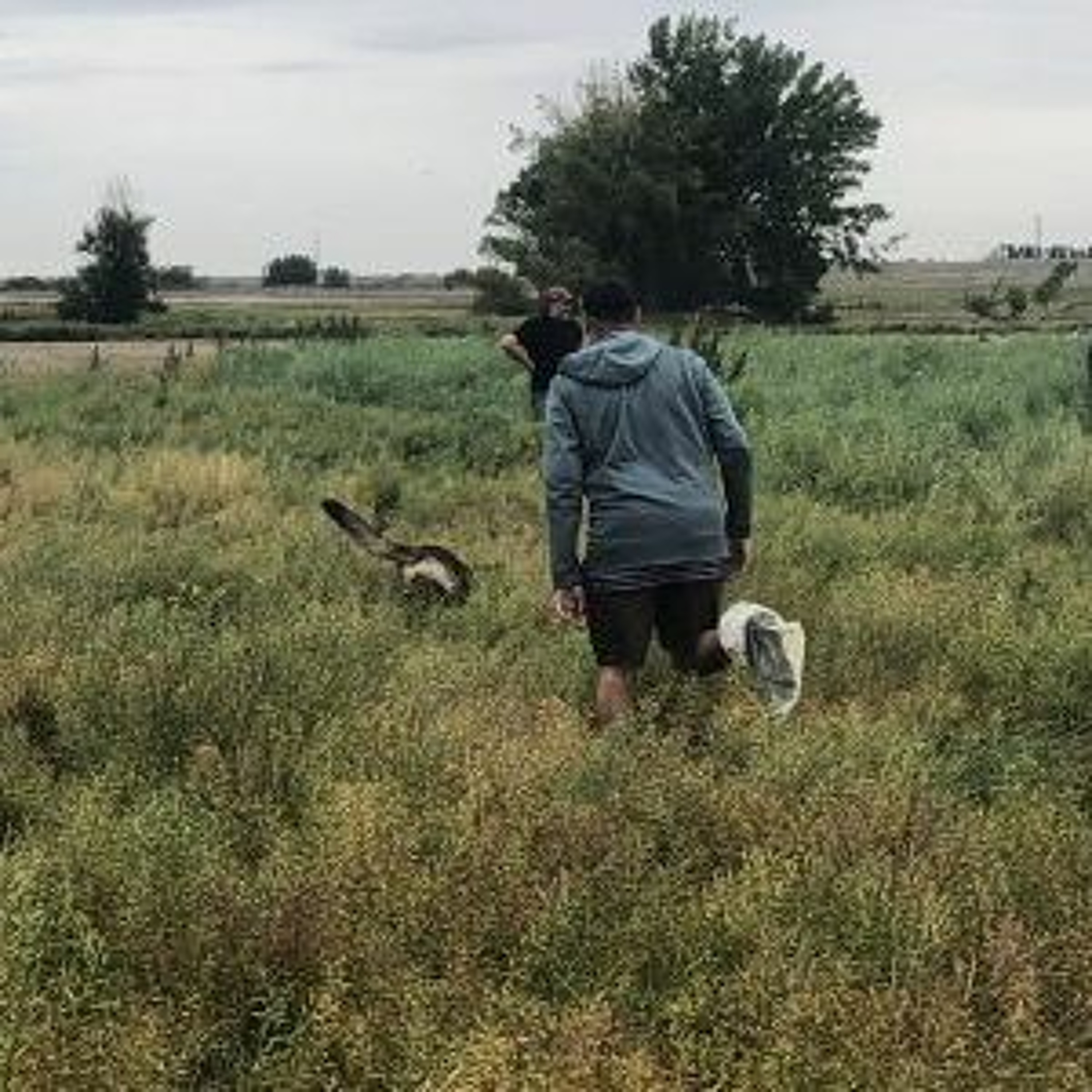 Rural Roots Canada