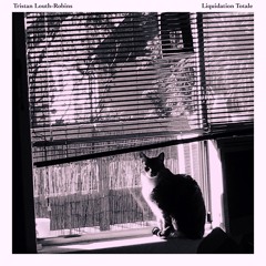On A Balcony, The Love of a Good Life (2017, from Awry EP and Liquidation Totale compilation))