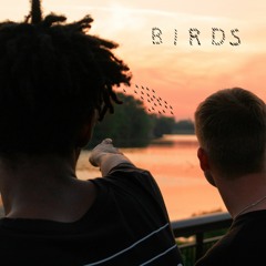 Birds - LO xeno x Txnner (prod. by Penacho)