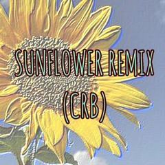 Post Malone - Sunflower (CRB - TRAP REMIX)