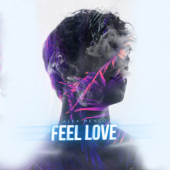 Feel Love (Radio Mix)