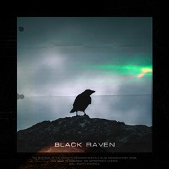 Black Raven