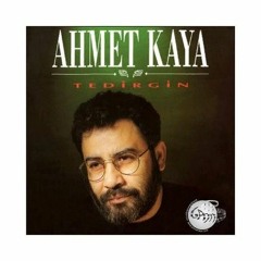 Ahmet Kaya-Tedirgin