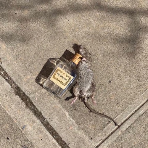 millhouse mix
