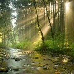 "C'est Toi ; c'est "JE" : L' Energie d'Amour Universelle